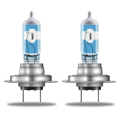 Two car headlight bulbs with the Argentinian flag design on the glass part, set against a white background.