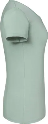 Produktbild von Fruit Of The Loom Damen Premium T-Shirt BC3945 (L) (Blassrosa)