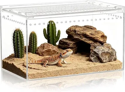 Produktbild von Hochwertiges Acryl-Terrarium mit Ventilation für Reptilien und Insekten, ideal für kleine Haustiere und Reptilienpflege, 20x15x10cm