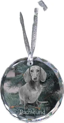 Imagen del producto de Art-Dog Adorno para árbol de Navidad – Teckel de pelo duro