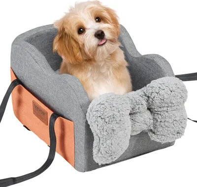 A small dog sits in a car console seat.