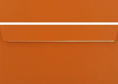 Produktbild von 50 Stück farbige Premium Briefumschläge Briefhüllen Kuvert, Caribic Orange, DIN Lang (110 X 220mm), ohne Fenster, haftklebend, 90g/m²