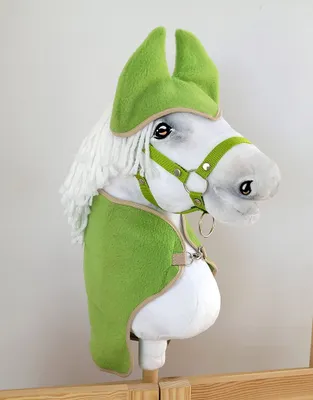 Obrázok produktu pre Súprava Hobby Horse A3: koberček + chrániče sluchu - zelená