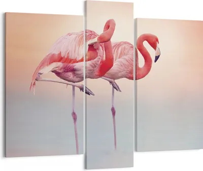 Produktbild von Bild auf Leinwand - Leinwandbild - 3 Teile - Flamingos Exotik Vögel - 95x80cm - Wand Bild - Wanddeko - Wandbilder - Leinwanddruck - Bilder - Wanddekoration - Leinwand bilder - Wandbild - CB95x80-5044