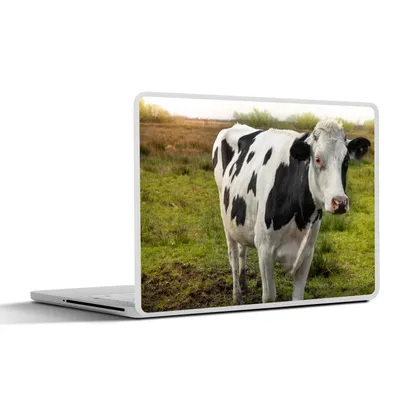 Produktbild von MuchoWow® Laptop Aufkleber Sticker Cover Kuh - Porträt - Friesisch 40x30 cm - Laptop Dekoration - Selbstklebend