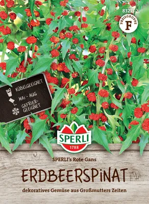 Produktbild von SPERLI Erdbeerspinatsamen Rote Gans Chenopodium foliosum 100 Pflanzen