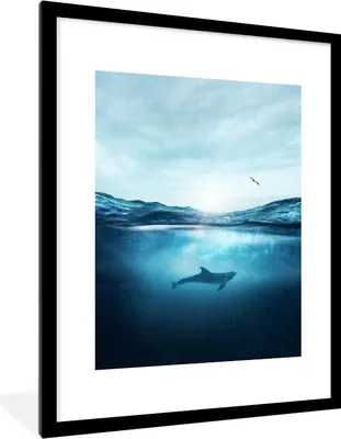 Produktbild von MuchoWow® MuchoWow® Gerahmtes Poster Delfin - Schwimmen - Meer 60x80 cm - Poster mit zchwarzem Bilderrahmen - Wohnzimmer - Dekorationen - Prämie