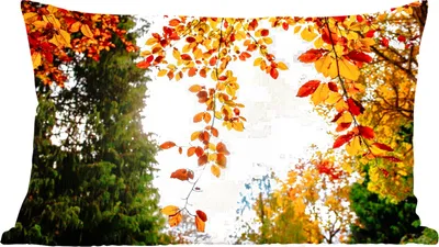 Produktbild von MuchoWow® Zierkissen Sofakissen Wohnzimmer Dekokissen 50x30 cm Herbst - Laub - Natur - Wohnzimmerdekoration - Polster mit Photo