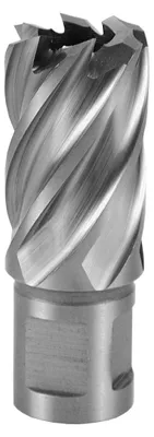 Obrázek produktu pro Ruko Terrax jádrový vrták HSS se stopkou Weldon, Ø 12 mm - 32 mm, hloubka řezu 30 mm, průměr: 22 mm