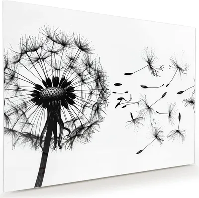 Produktbild von Glasbild 120x90cm in XXL für Wohnzimmer, Schlafzimmer Motiv Pusteblume