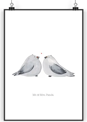 Produktbild von Mr. & Mrs. Panda Bild Turteltauben Liebe DIN A4 - Weiß - Geschenk, Wandbild, Freundin, Hochzeit, Plakat, Verheiratet, wanddeko, drucke, Tauben, Hochzeitstag, Deko