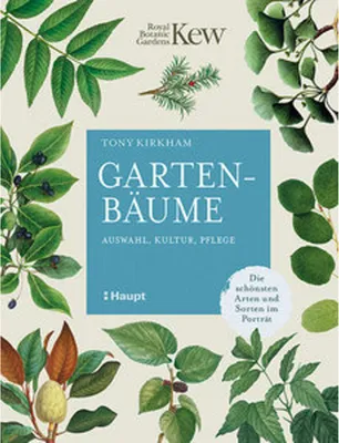 Obrázok produktu pre Gartenbäume