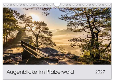 Produktbild von Augenblicke im Pfälzerwald (Wandkalender 2027 DIN A4 quer), CALVENDO Monatskalender