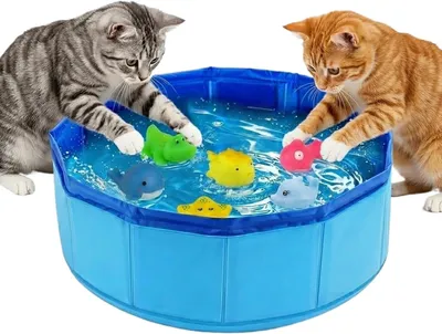 Immagine prodotto di Piscina portatile e pieghevole per cani, accessorio per animali domestici ideale per l'estate. Vasca per cani e piscina per animali domestici per rinfrescarsi, giocare, sguazzare e fare il bagno, adatta per l'uso in casa, in appartamento e sul balcone