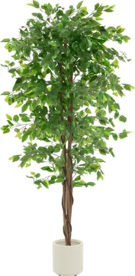 Zdjęcie produktu dla ML-Design sztuczna roślina Ficus 180cm sztuczne rośliny duże jak prawdziwa roślina doniczkowa z pniem z naturalnego drewna w doniczce łatwe w pielęgnacji rośliny plastikowe sztuczne drzewo