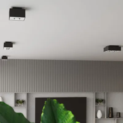 Obrázek produktu pro Stropní svítidlo Stropní svítidlo Plafond MONO 2 černé 24x14x11cm