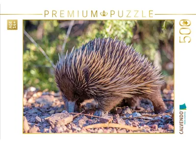 Produktbild von CALVENDO Puzzle Ameisenigel | 500 Teile Lege-Größe 48 × 36 cm Foto-Puzzle für Erwachsene