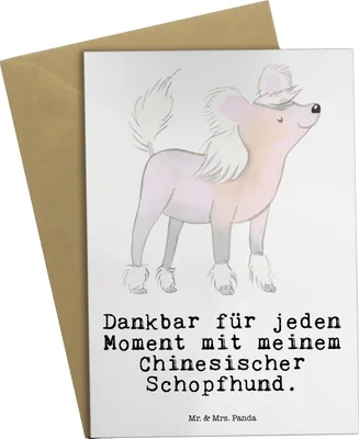 Produktbild von Mr. & Mrs. Panda Glückwunschkarte Chinesischer Schopfhund Moment - Weiß - Geschenk, einladungskarten, dankeskarten, weihnachtskarten, osterkarte, Klappkarte