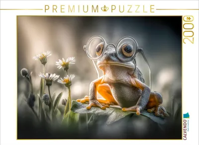 Produktbild von CALVENDO Puzzle Ein Frosch | 2000 Teile Lege-Größe 90x67cm Foto-Puzzle für glückliche Stunden