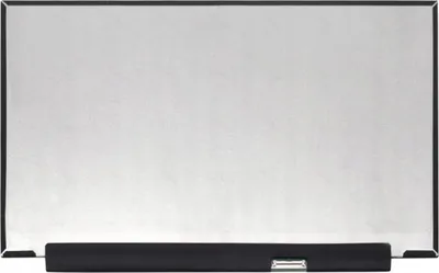 Image de CoreParts MSC156F40-222M Pièce de rechange pour ordinateur portable Affichage (MSC156F40-222M)