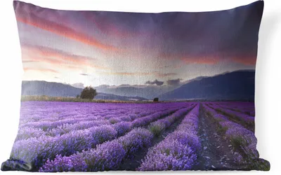 Produktbild von MuchoWow® Outdoor Kissen - Sonnenuntergang über Lavendel - 50x30 cm - Wetterfest - Lounge Kissen - Sofa kissen - Wohnzimmer Dekoration