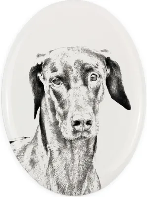 Immagine prodotto di Dobrman - targa commemorativa con immagine di cane, lapide con stampa, targa ovale personalizzata del marchio Art-Dog