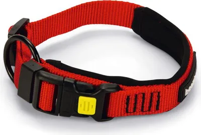 Produktbild von Beeztees Parinca Premium - Hundehalsband - Nylon - rot - 30-35 cm x 20