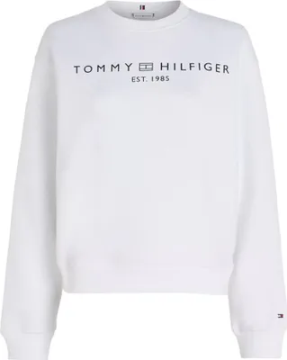 Image de Sweatshirt a capuche Tommy Hilfiger WW0WW39791YCF