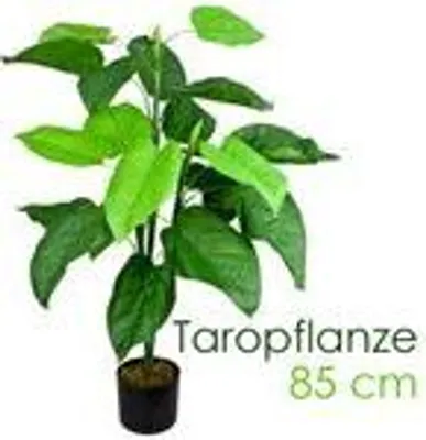 Produktbild von Kunstpflanze Künstliche Pflanze Aronstab Araceae Arum Taro künstlicher Baum Künstlich im Topf Plastik Pflanzen Zimmerpflanze wie Echt Deko 85 cm Decovego