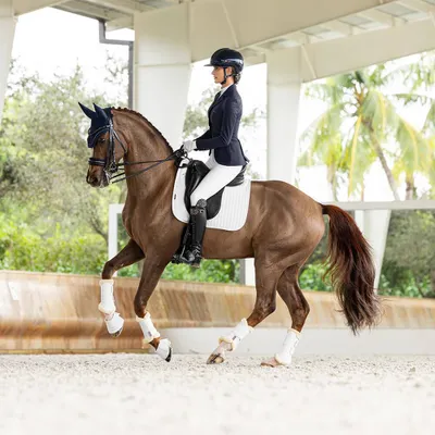 Image de Selle de dressage LeMieux ProSorb, modèle à 2 poches, couleur : blanc, taille : L