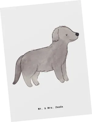 Produktbild von Mr. & Mrs. Panda Postkarte Neufundländer Lebensretter - Weiß - Geschenk, Fotokarte, einzelkarte, Newfoundland, Postkarten, Ansichtskarten, Grußkarte