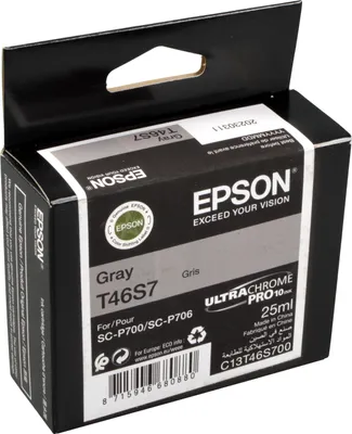 Produktbild von Epson UltraChrome Pro, Standardertrag, Grau, Tinte auf Pigmentbasis, 25 ml, 1 Stück(e), Einzelpackung