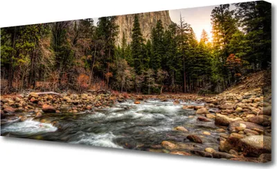 Produktbild von Tulup Leinwand-Bilder 125x50 Wandbild Canvas Kunstdruck Wald See Natur