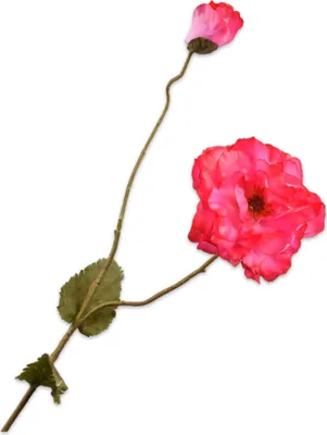 Productafbeelding van Silk-ka Kunstbloem – Zijden bloem, klaproos, 109 cm