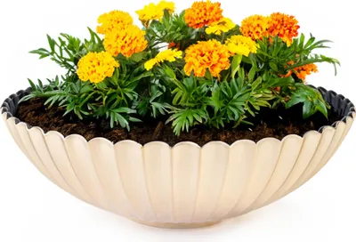 Productafbeelding van Ronde plantenbak, golfvormig, voor buiten, champagnegoud, 22 cm