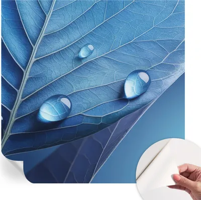 Produktbild von Selbstklebende Wandtapete - Dekorative Tapete für Wohnzimmer - Klebefolie für Wandbilder - Tapetenfolie für Wanddekoration - 250x250 cm - Blaues Blatt