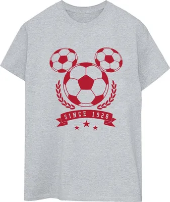 Produktbild von Disney - T-Shirt für Damen BI38519 (S) (Grau)