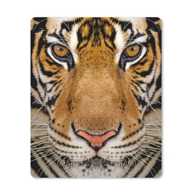 Produktbild von MuchoWow® Mauspad Mousepad Tiger - Tiere - Kopf 30x40 cm - Mousepads - Maus Mat - Pad - Mausunterlage - Mausmatten