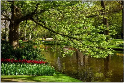 Produktbild von Wallario Outdoor-Poster für Garten oder Balkon, Motiv Bunte Blumen im Park am Wasser - Frühblüher am Ufer, in ca. 61 x 91,50 cm