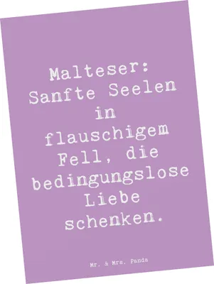 Produktbild von Mr. & Mrs. Panda Ansichtskarte Spruch Malteser Liebe - Lavendeltraum - Geschenk, Hunderasse, flauschiges Fell, Kunstkarten, Hundeliebhaber, Postkarte, Postkarten, Hunde