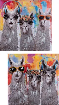 Produktbild von 2er Set Wandbilder ALPAKAS COLORS auf Leinwand 60x60cm bunt Formano WA
