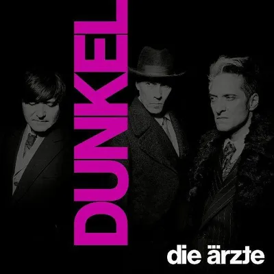 Produktbild von Dunkel (Im Schuber Mit Girlande)