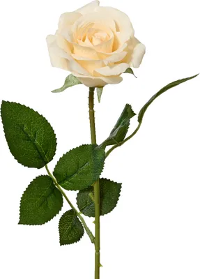 Produktbild von Künstliche Rose mit Stiel 8x55cm Creme