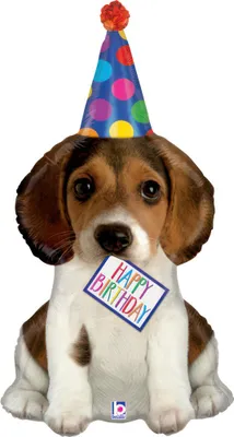 Produktbild von Shape Folienballon "Happy Birthday" Hundebaby" | 104 cm