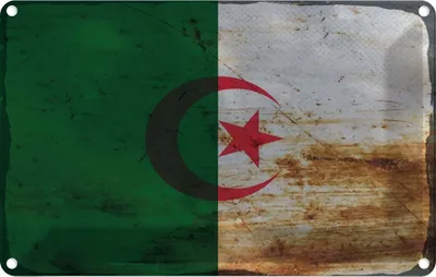 Produktbild von vianmo Blechschild 20x30 cm Algerien Algeria Rost Flagge Fahne Wappen