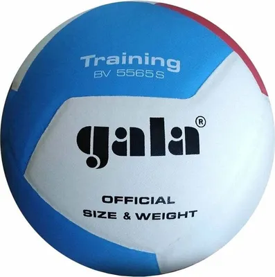 Zdjęcie produktu dla Gala Training 12 Siatkówka halowa