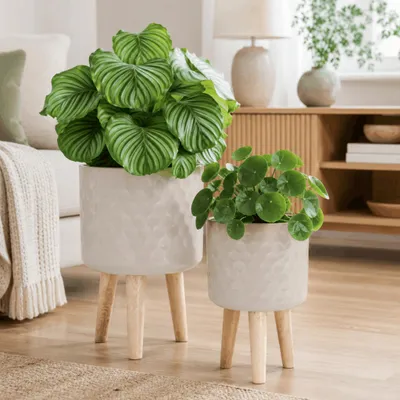 Produktbild von Blumentöpfe 2er Set Beige Ø 24,5 x 42 cm & 28 x 43 cm mit Füßen