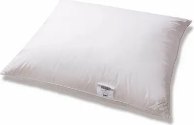 Obrázek produktu pro 70% péřový polštář 70x80 Basic+ 1000g bílý AMZ