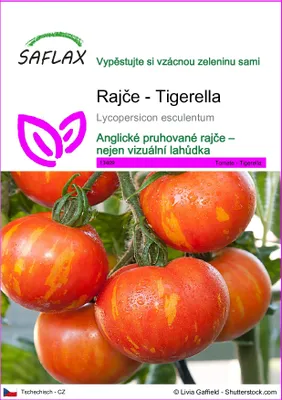 Obrázek produktu pro SAFLAX - Rajče - Tigerella - Lycopersicon esculentum - 10 Semena