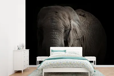 Produktbild von MuchoWow® Fototapete für Wohnzimmer oder Schlafzimmer Wandtapete Vinyl Motivtapete Porträt eines Elefanten vor einem dunklen Hintergrund - 415x300 cm - Küche